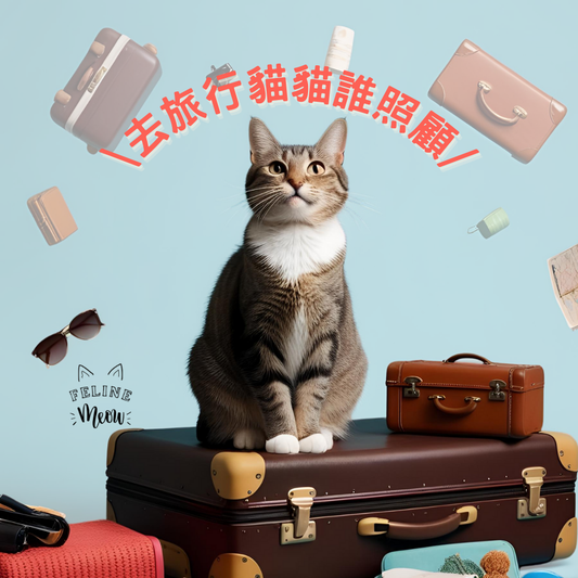 去旅行貓貓誰照顧