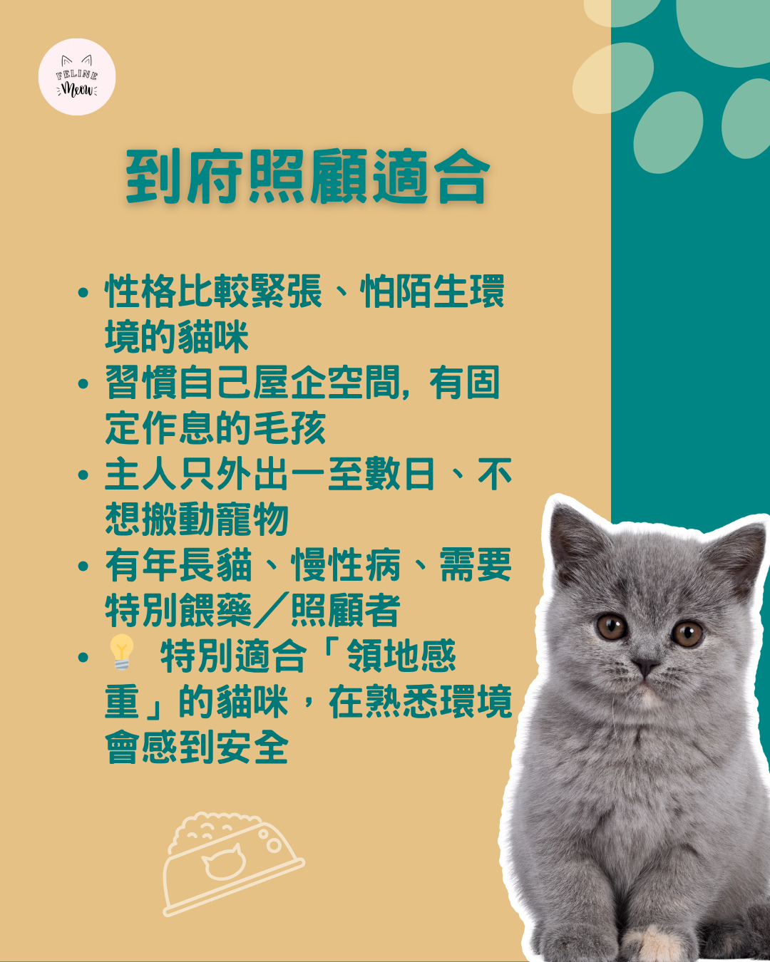 到府照顧 Pet Sitting