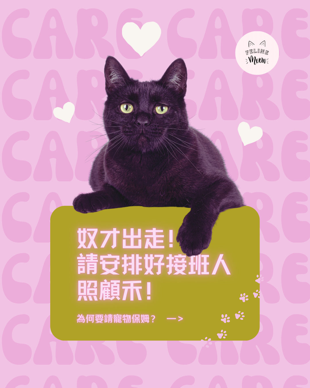 寵物保姆服務