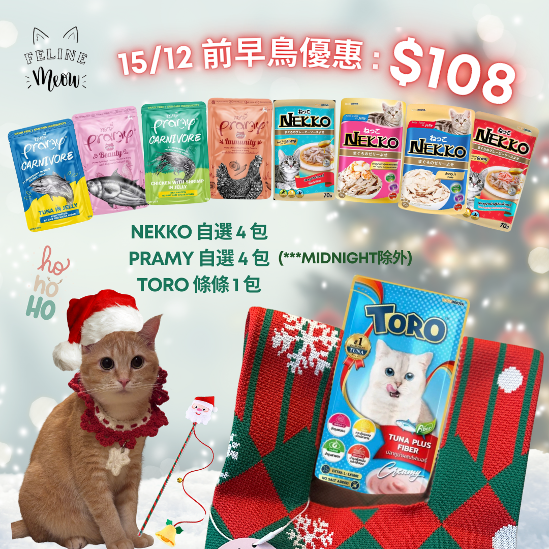 聖誕限量xmas gift bag