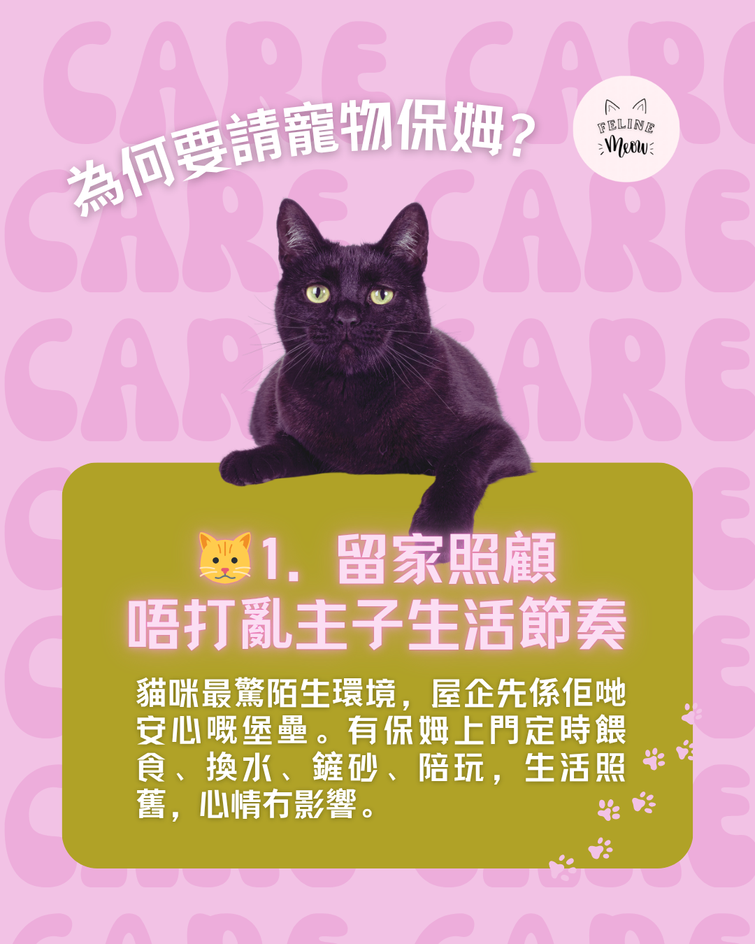 為何要請寵物保姆？
