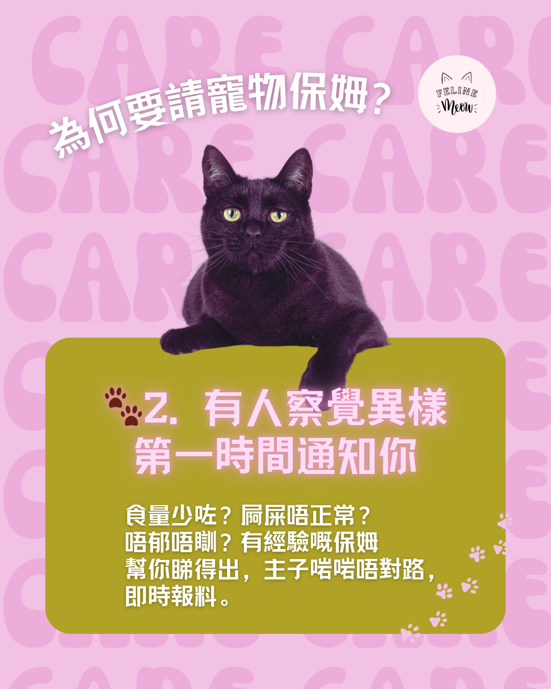 為何要請寵物保姆？