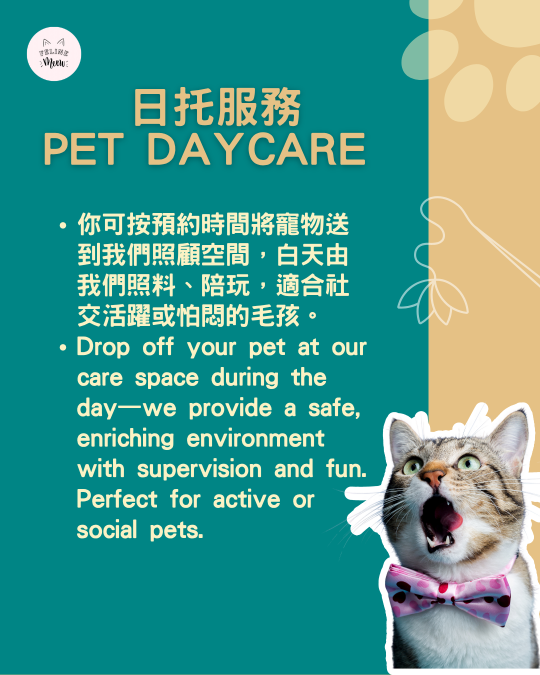 為何要請寵物保姆？