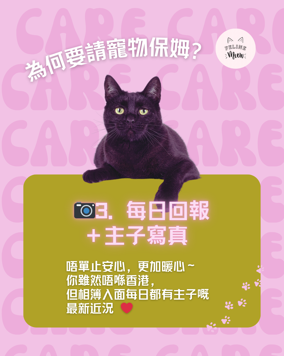 為何要請寵物保姆？