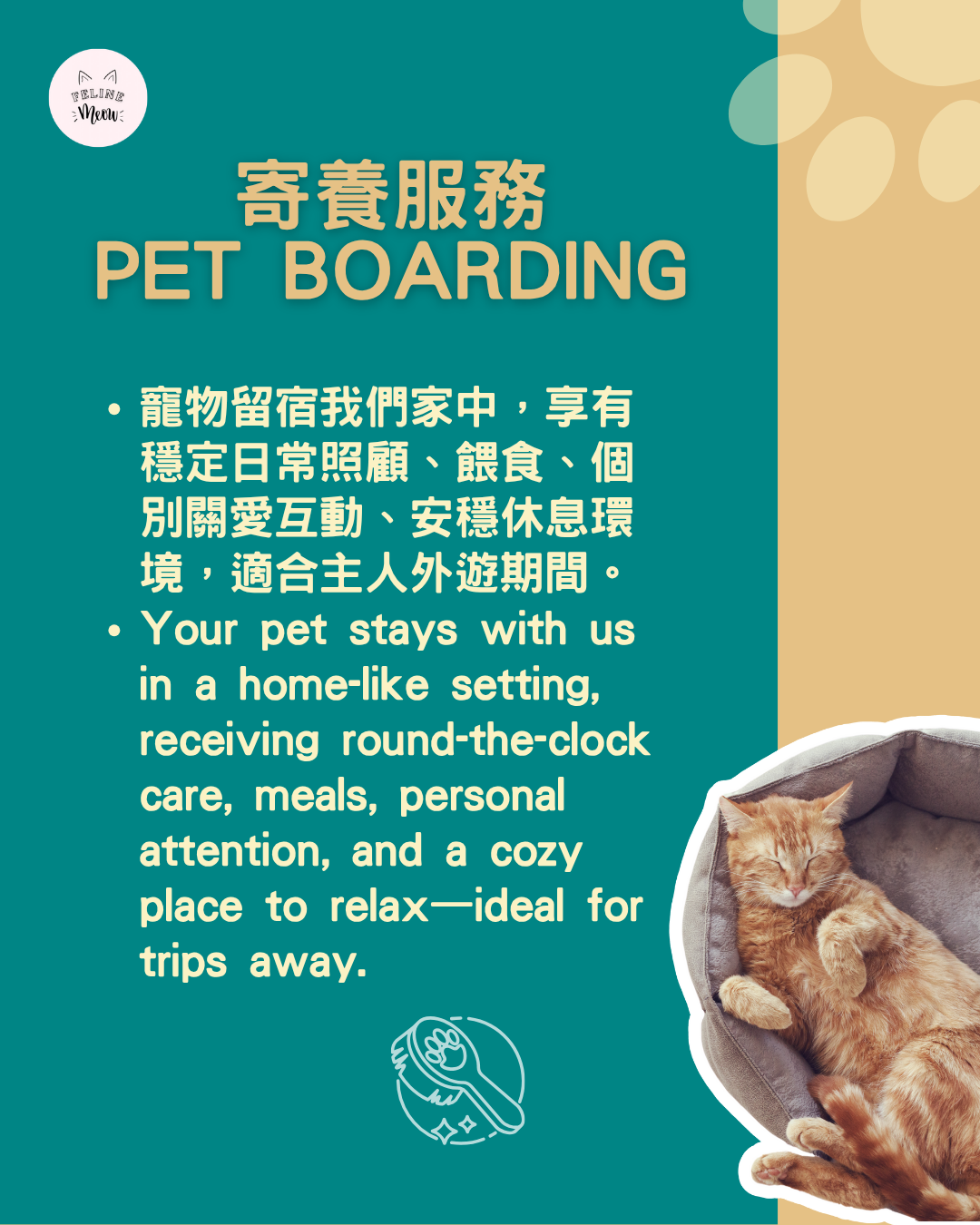 為何要請寵物保姆？
